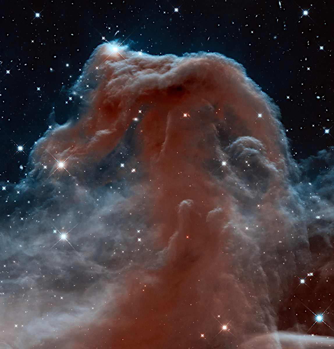 ハッブルが赤外線でとらえた馬頭星雲 30 Years 30 Images 23 13年 アストロピクス