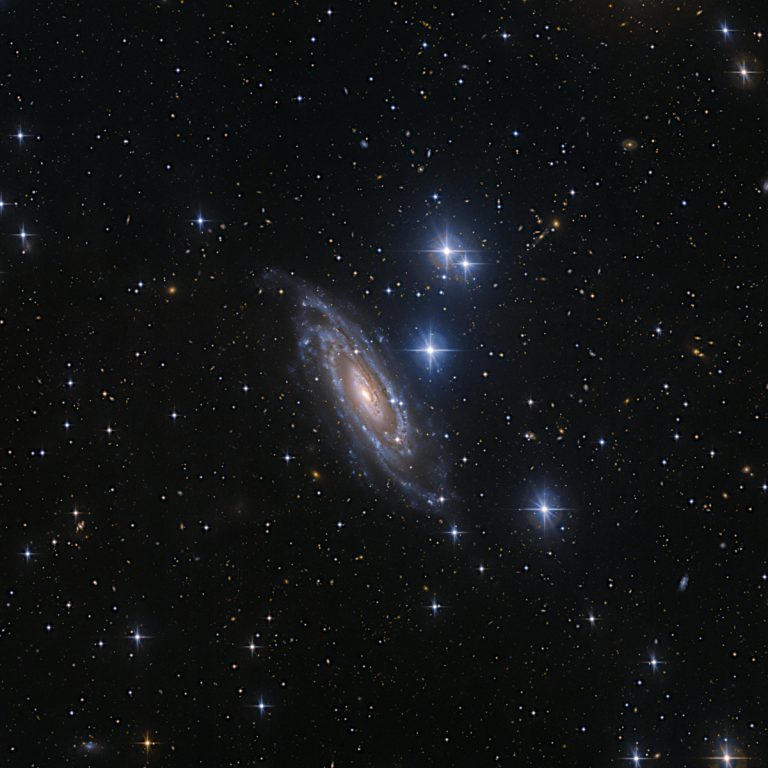 輝く星々の近くに見える、うさぎ座の渦巻銀河NGC 1964