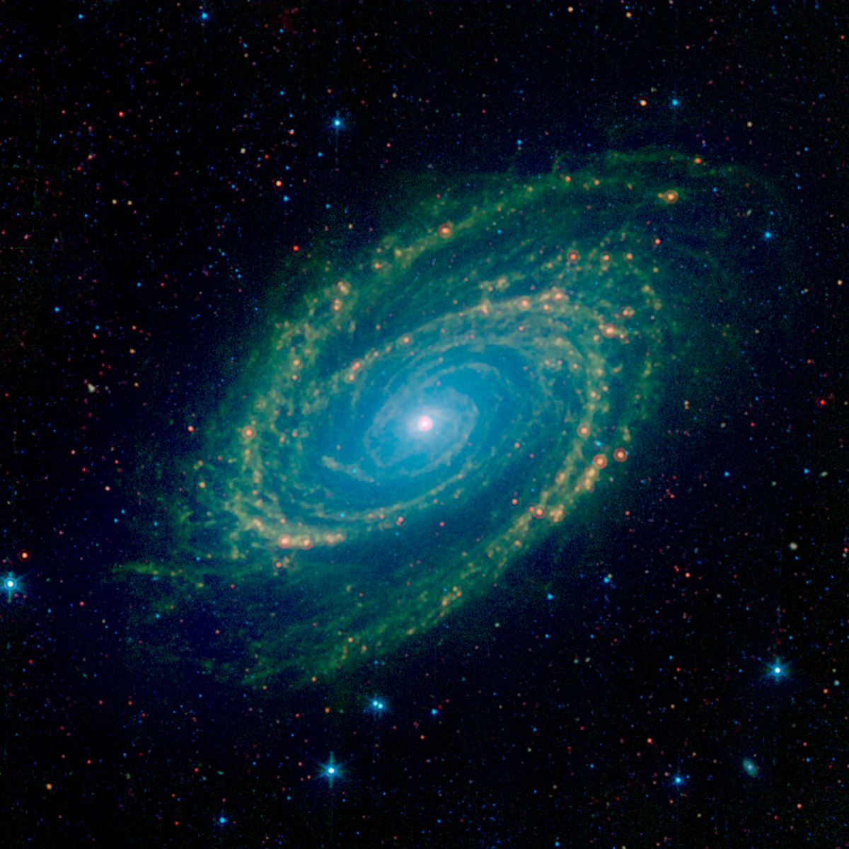 スピッツァー宇宙望遠鏡がとらえた渦巻銀河m81 アストロピクス
