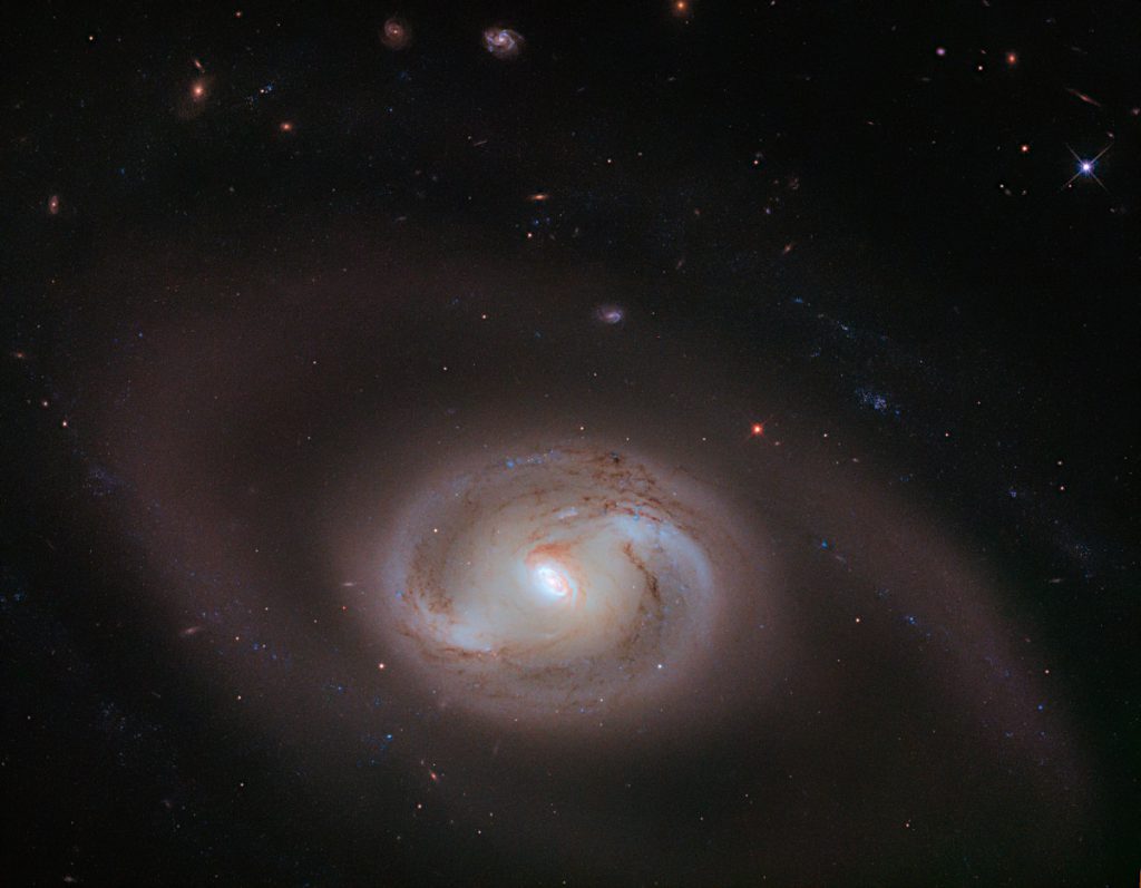 いくつものリングをもつ棒渦巻銀河NGC 2273 〜 ハッブル宇宙望遠鏡の今週の1枚