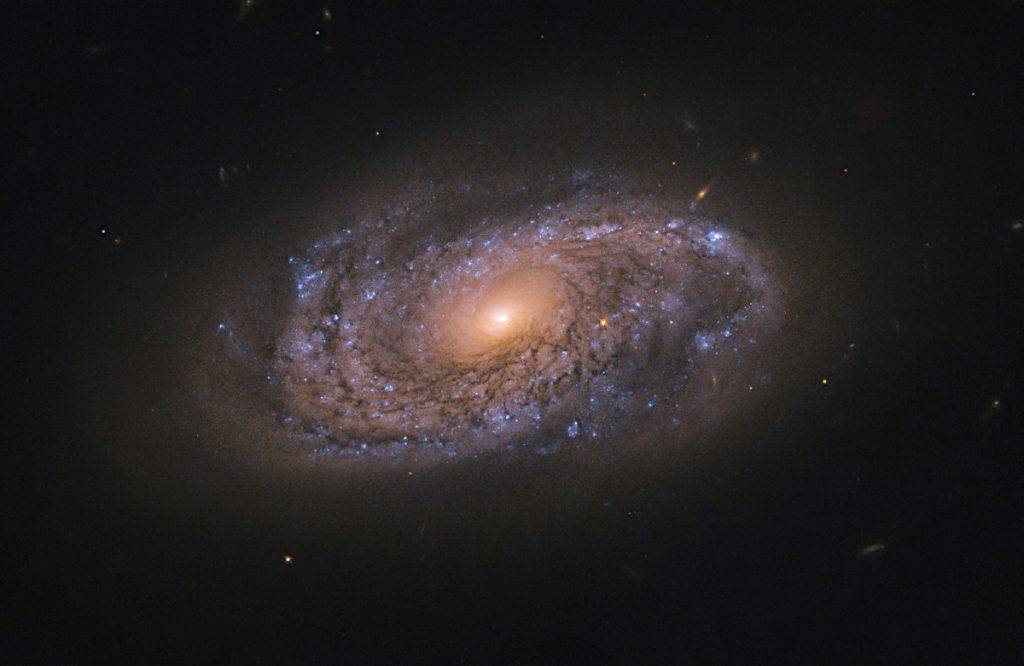 しし座の渦巻銀河NGC 2906