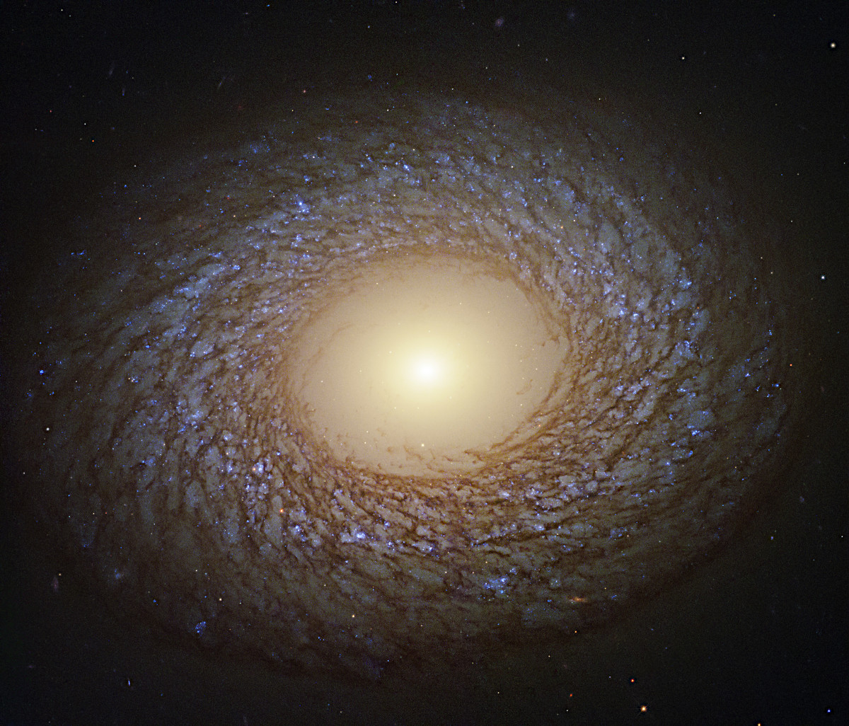 羽毛のような渦状腕を持つ銀河NGC 2775 〜 ハッブル宇宙望遠鏡の今週の