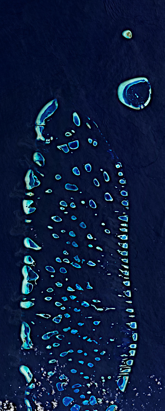 ヨーロッパの地球観測衛星がとらえたモルディブのアリ環礁