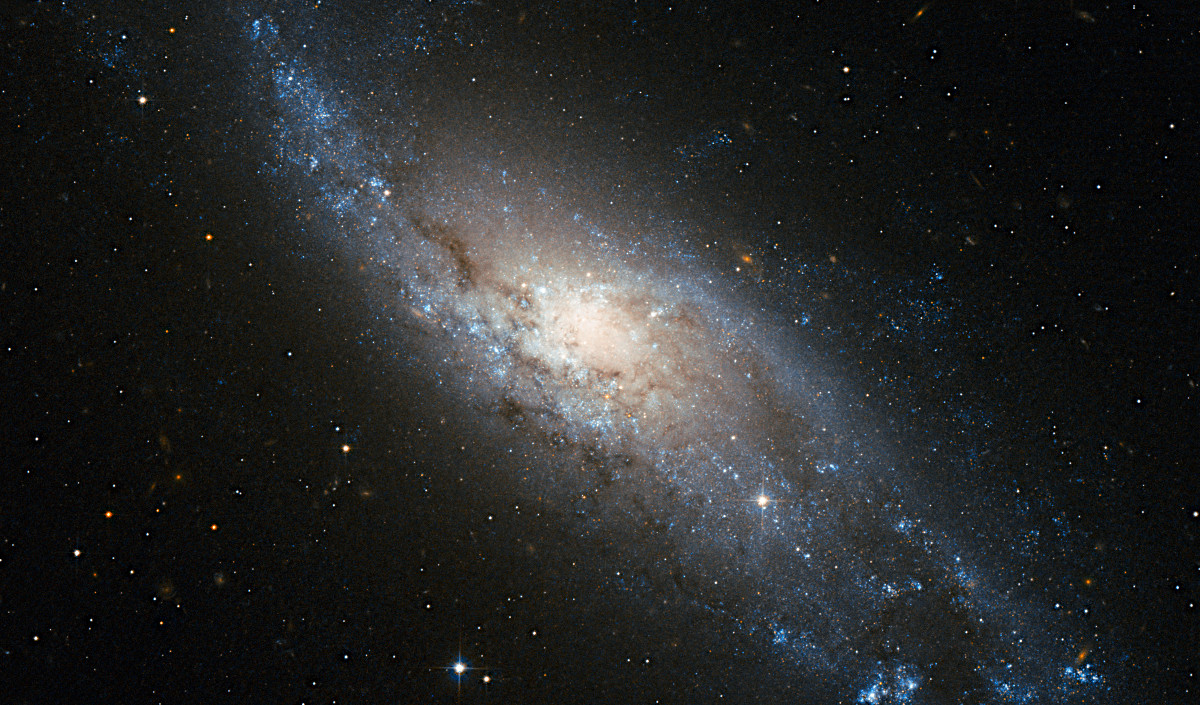 ハッブルがとらえた きょしちょう座の渦巻銀河ngc 406 アストロピクス