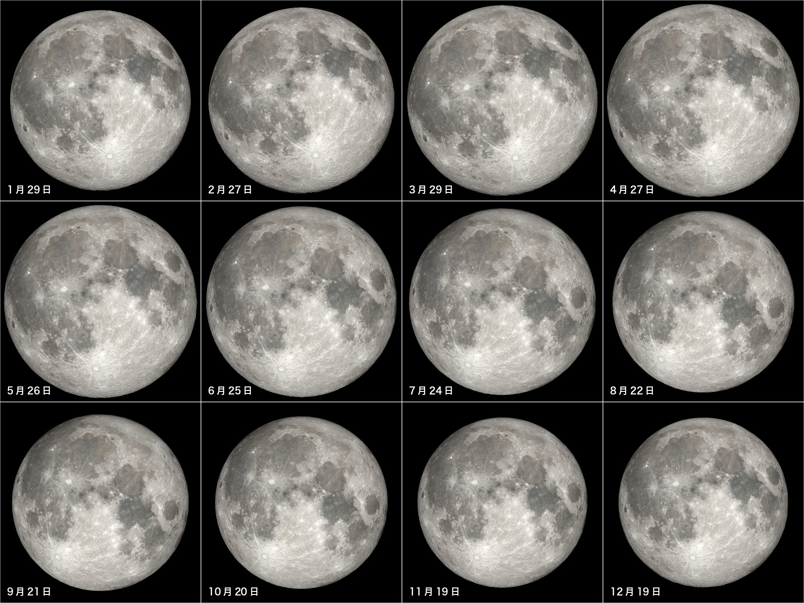 2022年（令和4年）の満月と新月はいつ？ | アストロピクス