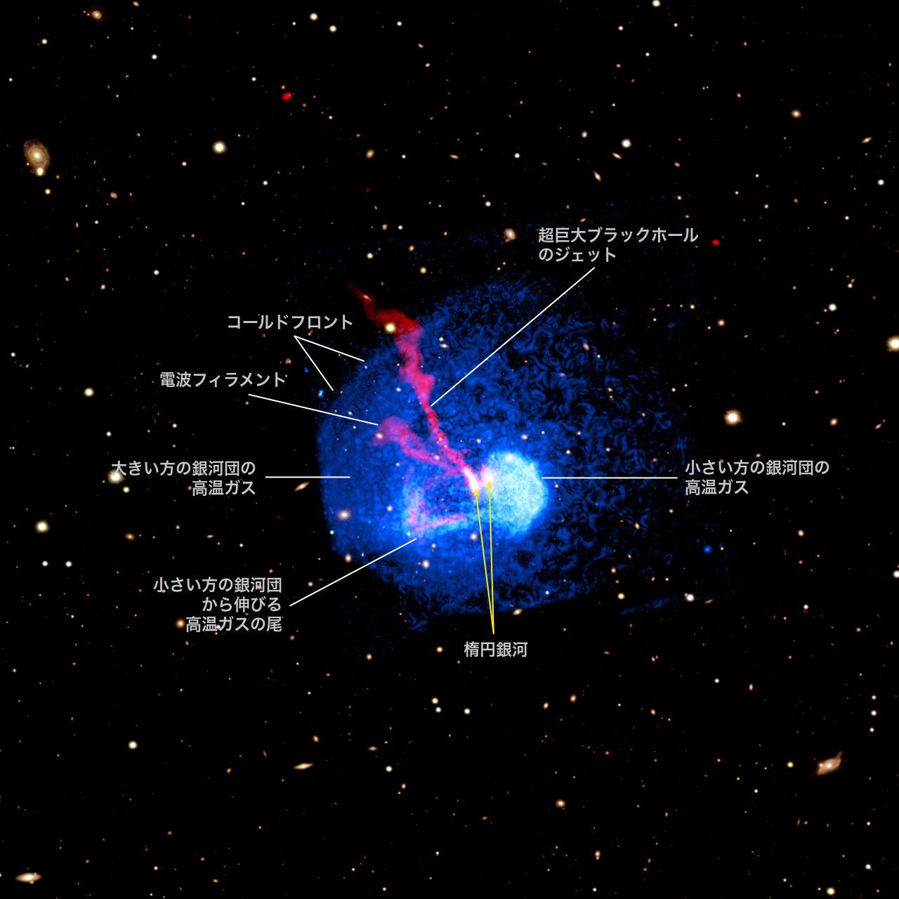 銀河団Abell 1775に見られた巨大ジェットや、銀河団衝突でできた「尾」