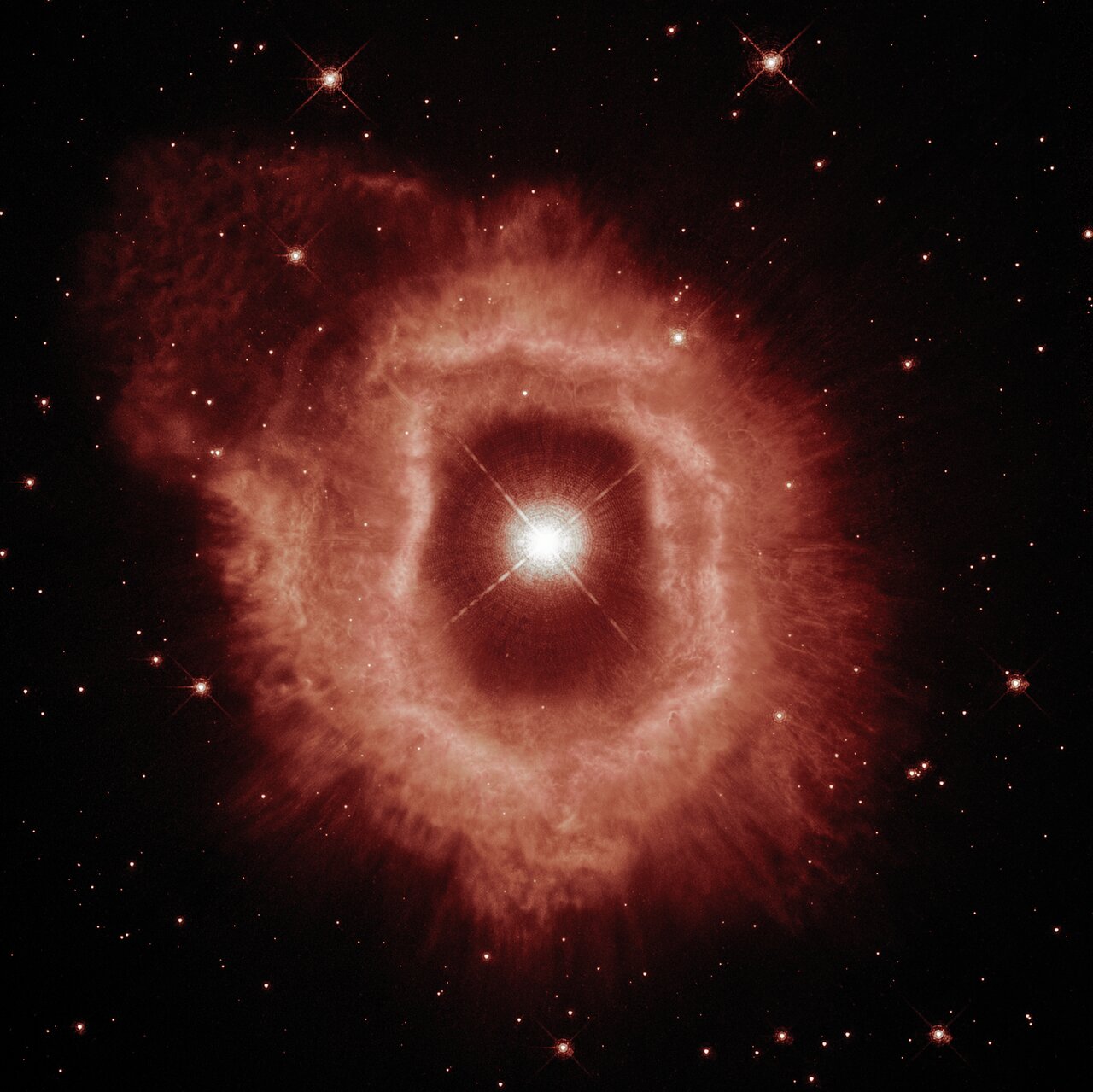 過去の爆発で放出されたガスと塵の星雲に囲まれた巨大星「りゅうこつ座AG星」