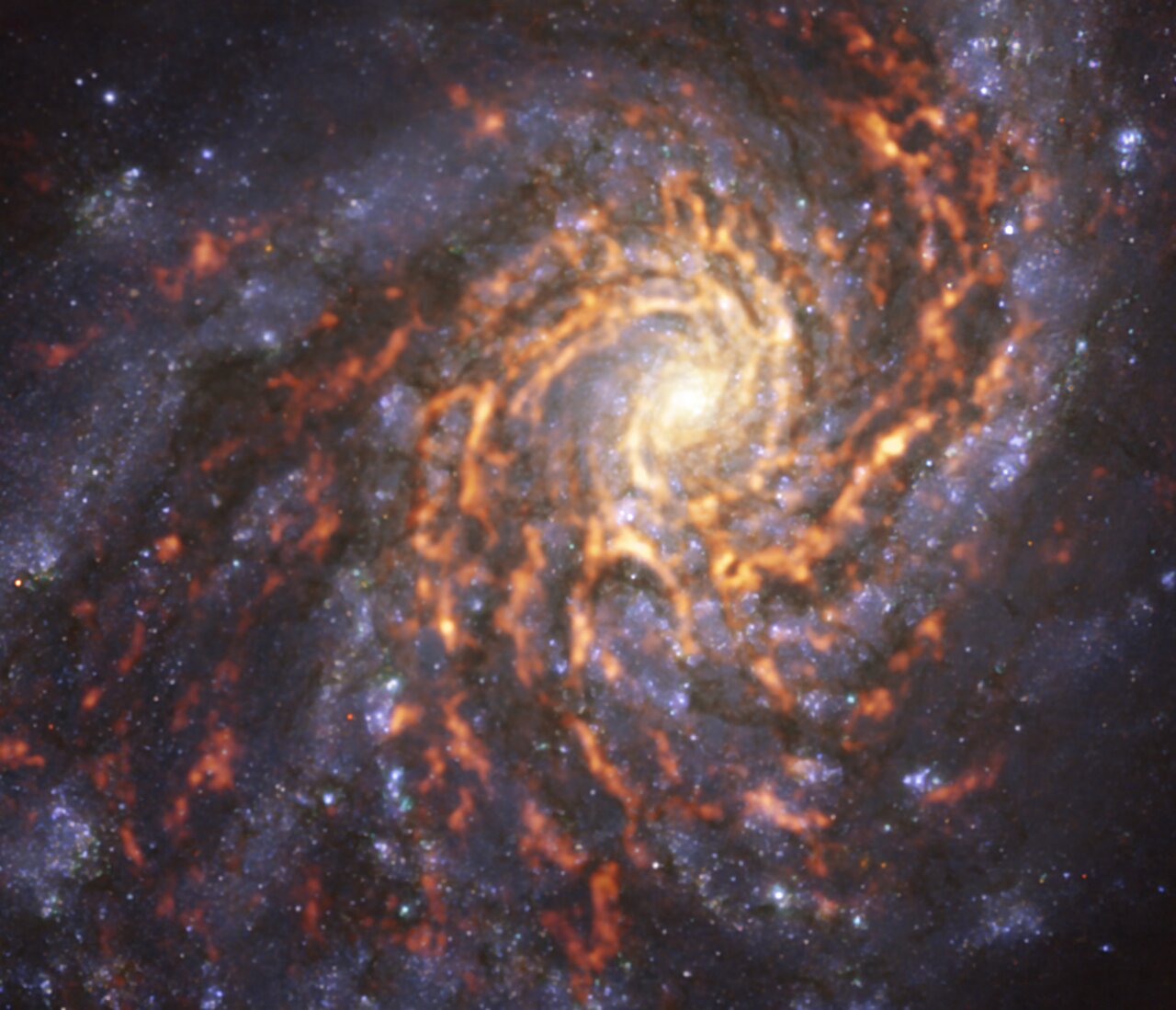 渦巻銀河NGC 4254（M99）