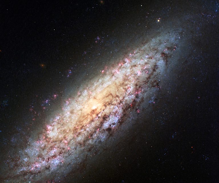 ローカルボイドの端にある孤独な銀河NGC 6503　ハッブル望遠鏡が撮影