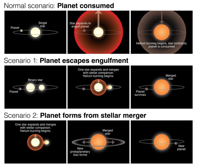 こぐま座8番星bに関する3つのシナリオ。通常であればいちばん上のように惑星は赤色巨星に飲み込まれたはずです。中央（Scenario 1）は、連星の合体によって惑星を飲み込むほど膨張しなかったとするもの。下（Scenario 2）は、当初は惑星が存在せず、連星の合体後にこぐま座8番星bが形成されたとするものです。
