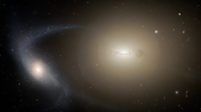 近くにある巨大銀河に、外層の星とガスを剥ぎ取られ、超コンパクト矮小銀河に移行しつつある矮小銀河を描いた想像図。