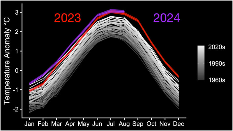 2023年（赤）と2024年（紫）の気温の比較。2024年6〜8月の気温は、2023年の記録をわずかに上回りました。白い線は1961年から2022年までの月間気温を示しています。Image Credit: NASA/Peter Jacobs/Katy Mersmann