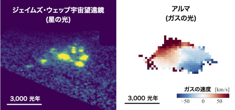 左の画像はウェッブ望遠鏡がとらえたもの。重力レンズによる歪みを補正して元の銀河のようすを示したものです。右はアルマ望遠鏡のデータで、回転するガスのようすを示しています。赤は手前方向、青は奥方向へガスが動いています。Image Credit: S.Fujimoto